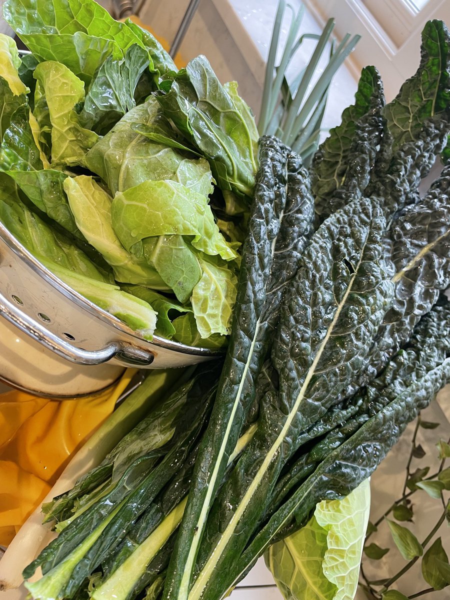 Robyn Llewellyn tweet media