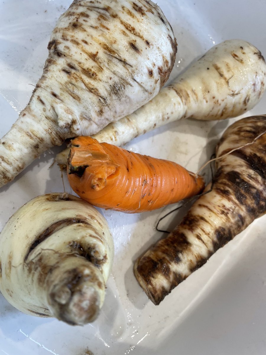 Robyn Llewellyn tweet media