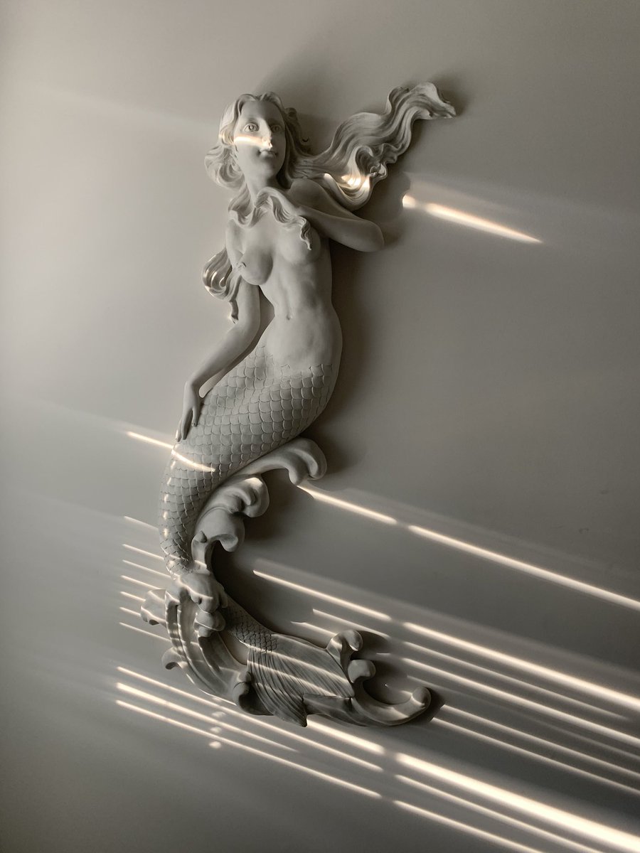 Francesca Leader tweet media