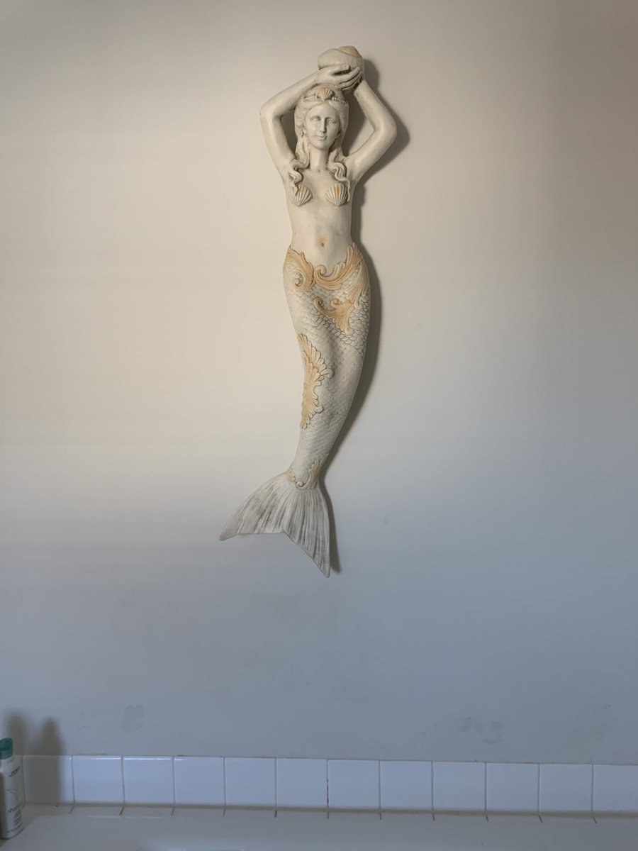 Francesca Leader tweet media