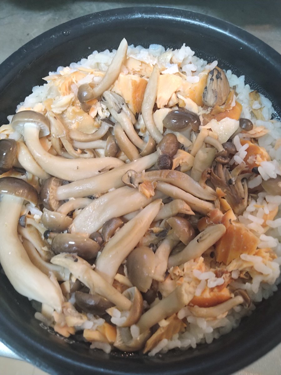 pataao48's tweet photo. 鮭とキノコの炊き込みご飯作った。 https://t.co/RokYZuHqdD