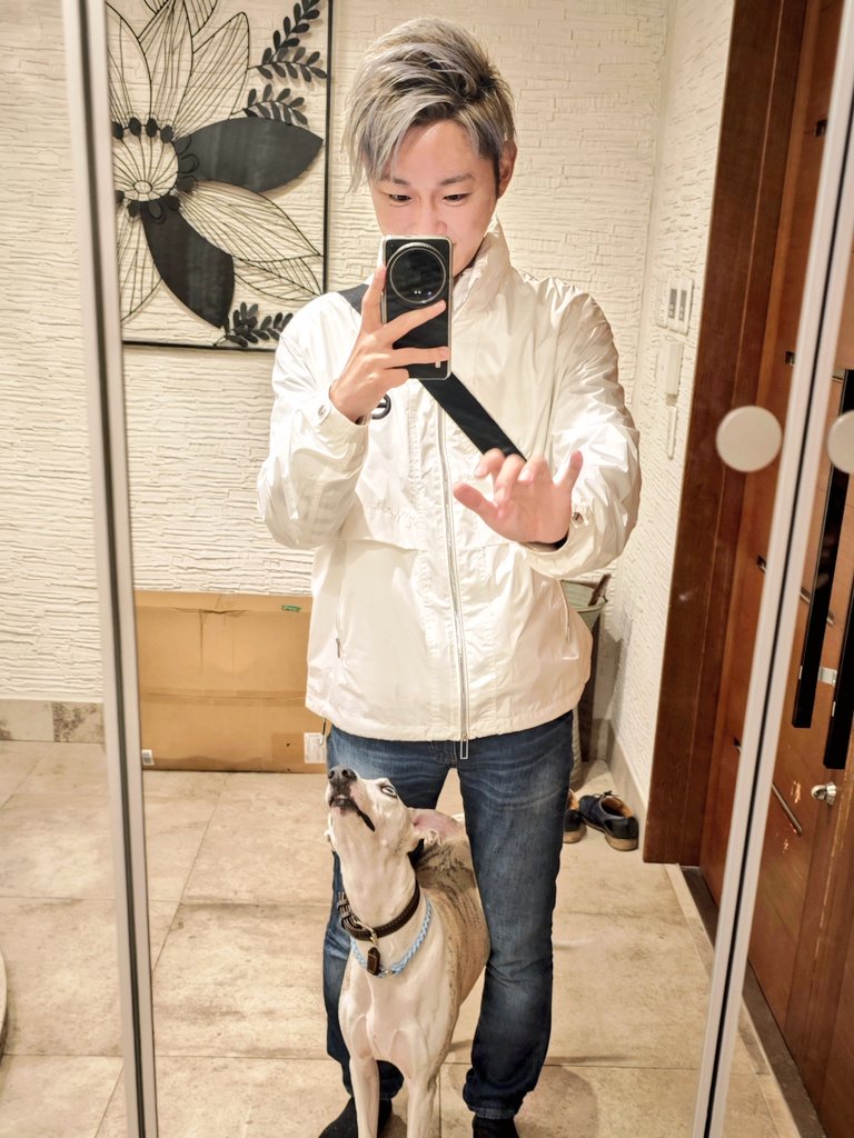 UYA_lov_animals's tweet photo. 股から顔出すイッヌ https://t.co/74N33W6M5h