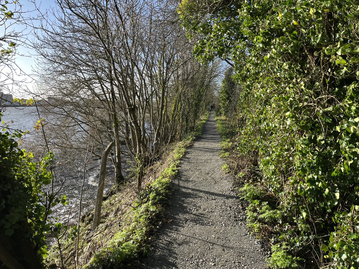 Frank Larkin tweet media