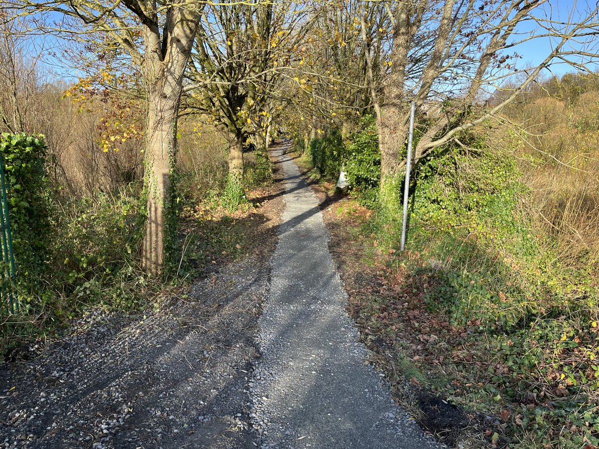 Frank Larkin tweet media