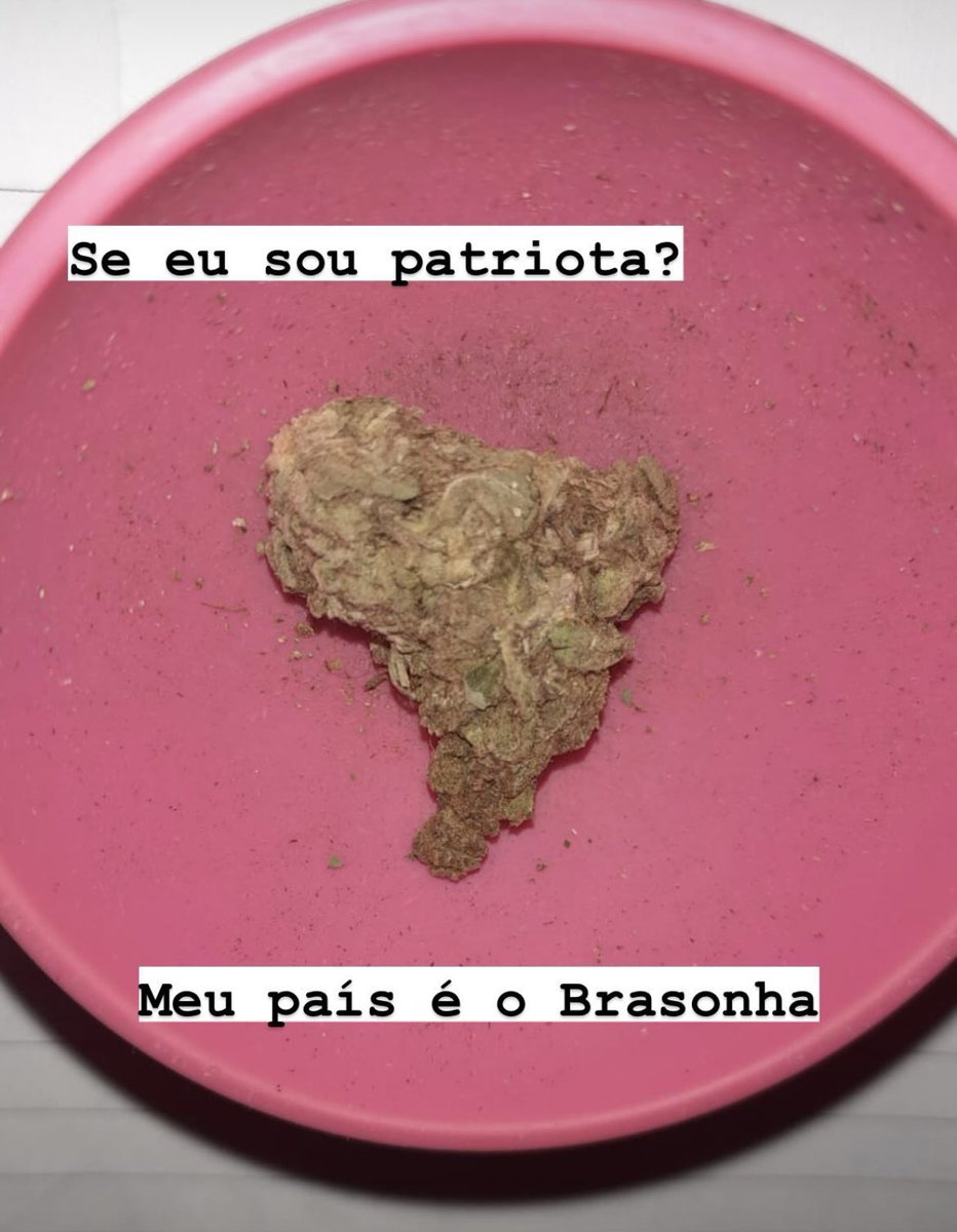 Cannabis Brasil (@canabisbrasil) on Twitter photo 