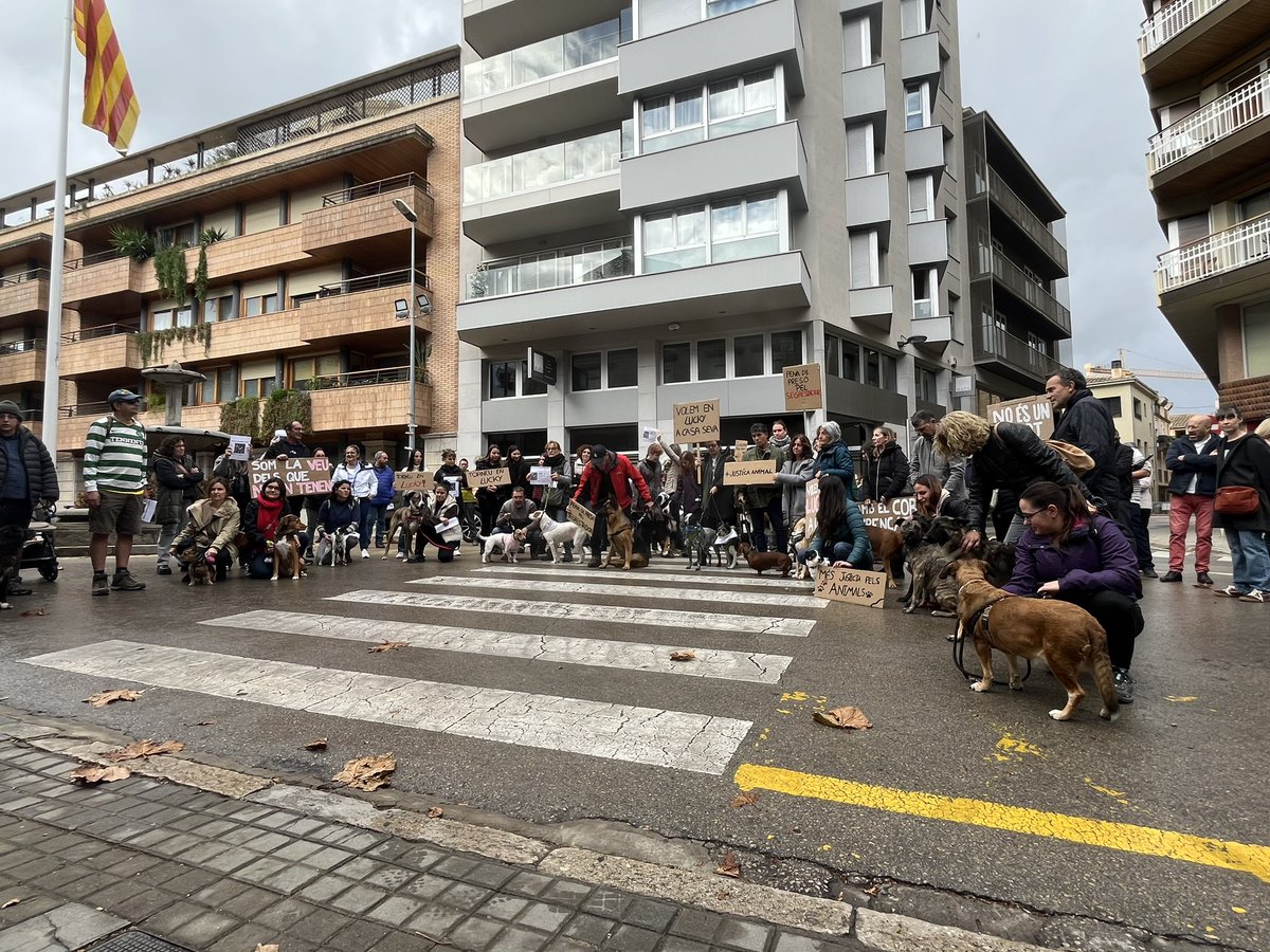 MartaOliBoli's tweet image. Concentració a Banyoles per en Lucky, en Kollie i tants altres! #VolemJusticia #ElsVolemACasa #VolemPresóPelSegrestador !!!!!