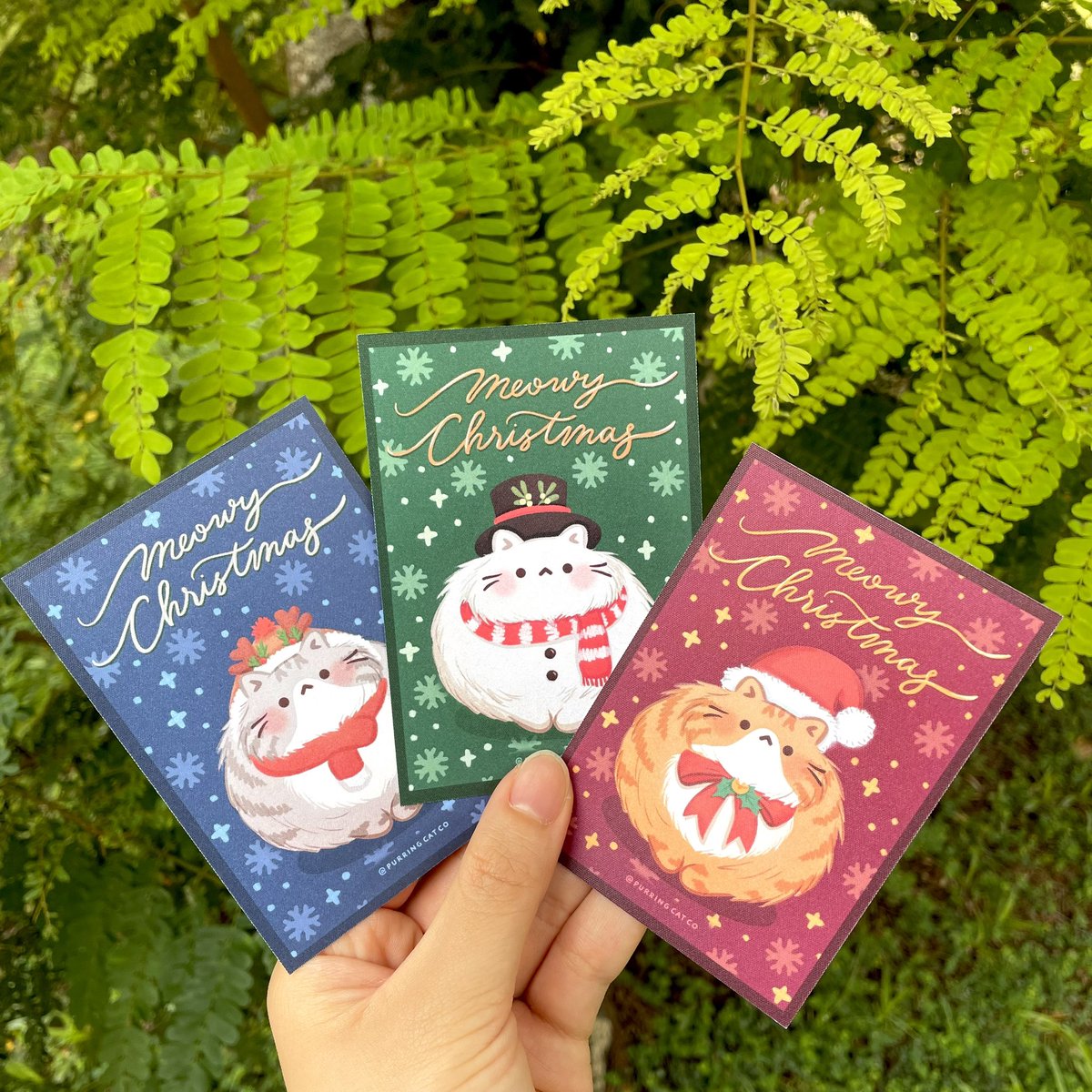 purringcatco's tweet photo. Who’s the best dressed? 😻
Grey tabby 🦌, white cat ☃️ or ginger 🎅? https://t.co/rzPJwfMOza