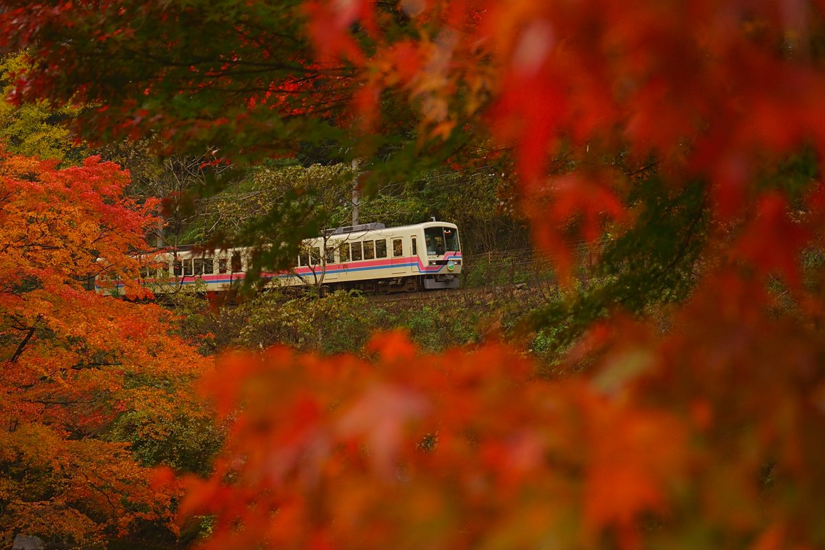 Fumi_Kozuke's tweet photo. #貴船 #京都 #SonyAlpha  #α7ii #α7ll #紅葉  #紅葉2024  #写真が好きな人と繋がりたい 

貴船口駅の所の橋です。 https://t.co/yuWNLZsdyj