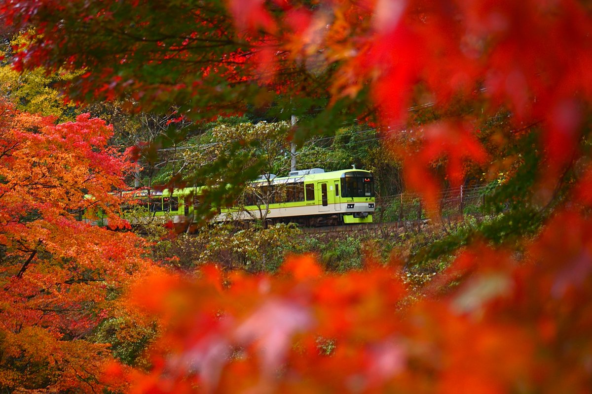 Fumi_Kozuke's tweet photo. #貴船 #京都 #SonyAlpha  #α7ii #α7ll #紅葉  #紅葉2024  #写真が好きな人と繋がりたい 

貴船口駅の所の橋です。 https://t.co/yuWNLZsdyj