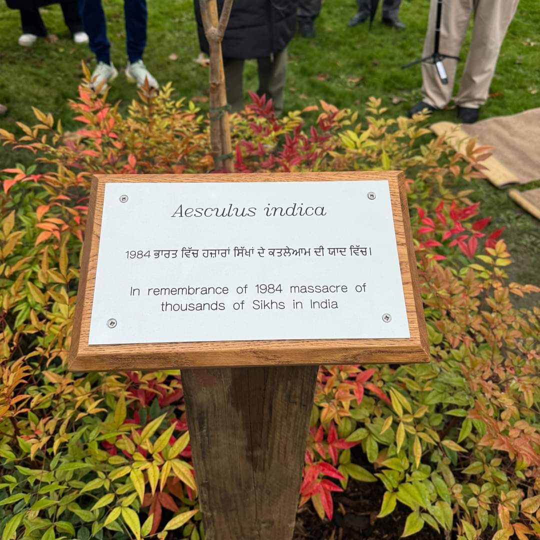 Alex Holmes tweet media