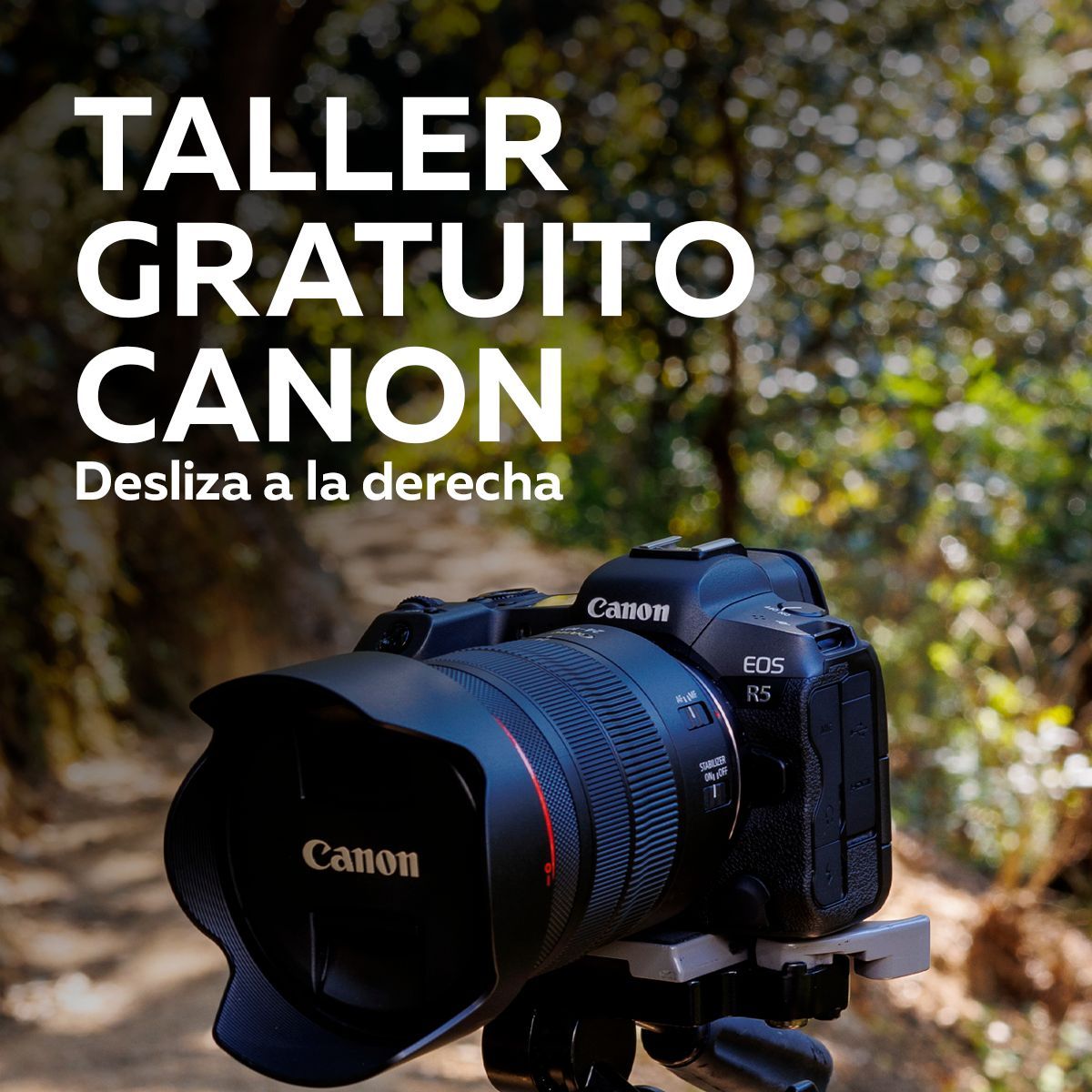 CanonPTY's tweet photo. 🎓📸 ¡Tu primera clase como fotógrafo está incluida!
Al adquirir tu cámara Canon, disfruta de un taller gratis para aprender a sacarle el máximo provecho a tu equipo. 🖤✨ ¡Agenda tu clase ahora en el siguiente enlace! ⬇️
https://t.co/qOC5ri0YFi 

#YoUsoCanon https://t.co/5HbVlRAVKQ