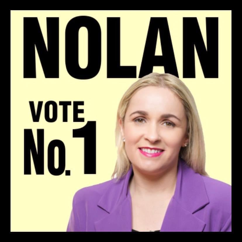 VOTE NO.1 Carol Nolan next Fri 29th Nov for ~Experience ~Hard Work ~ Common Sense