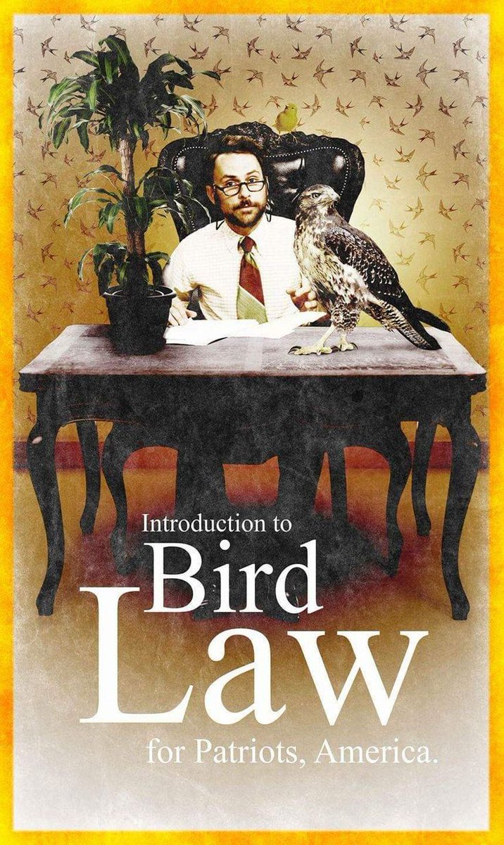 CharlieDayQuote's tweet photo. BIRD
LAW https://t.co/wcZGAqG6ge