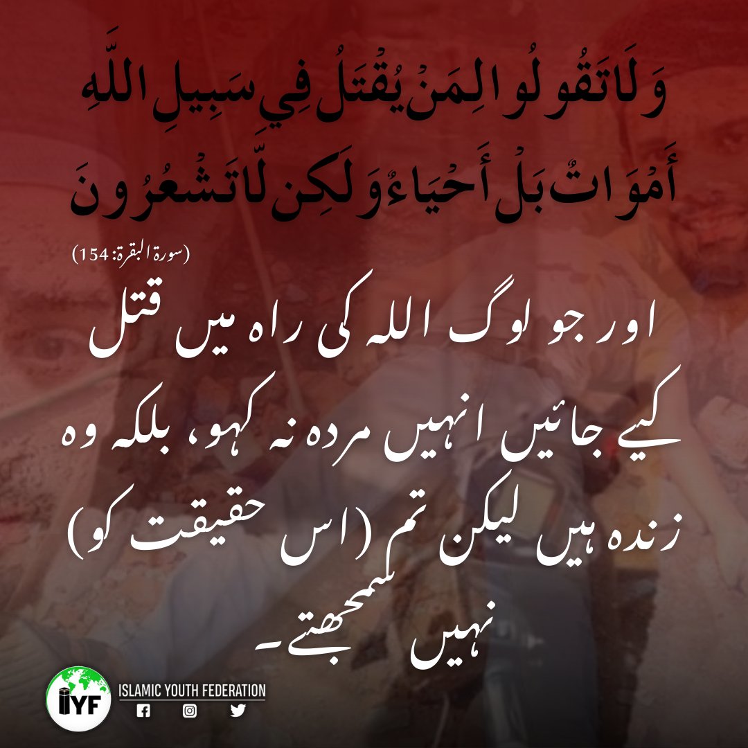 iyfofindia's tweet photo. The #Sambhal incident shows the judiciary and police's failure. Muslims' blood is so cheap in India that mild protests are met by bloody assault. May Allah accept the martyrs and give patience to their families. Let this martyrdom be an example of resistance.
#SambhalJamaMasjid https://t.co/SstRKkunO4