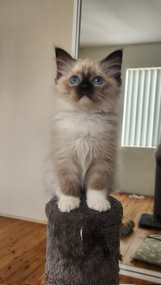 how joyous to be so full of wonder