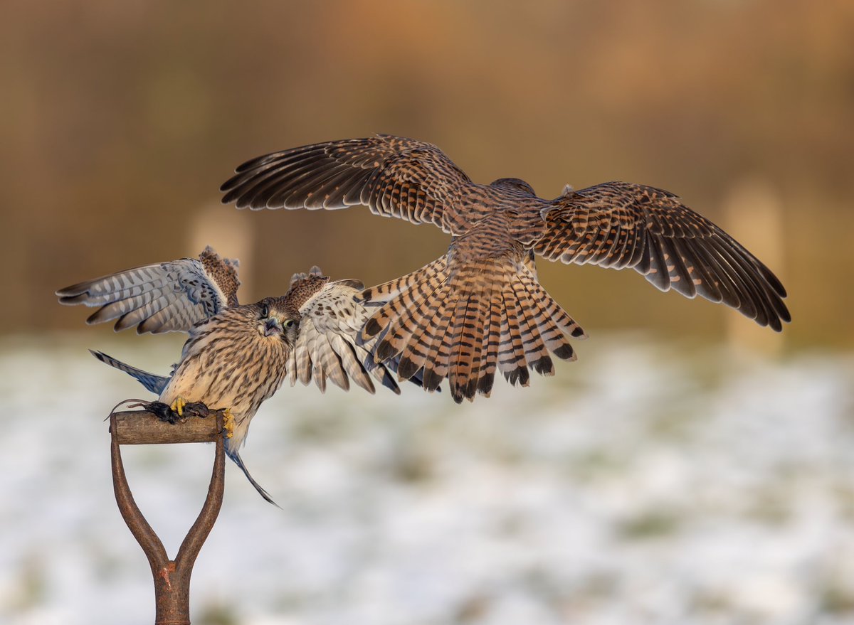 Stephen jones tweet media