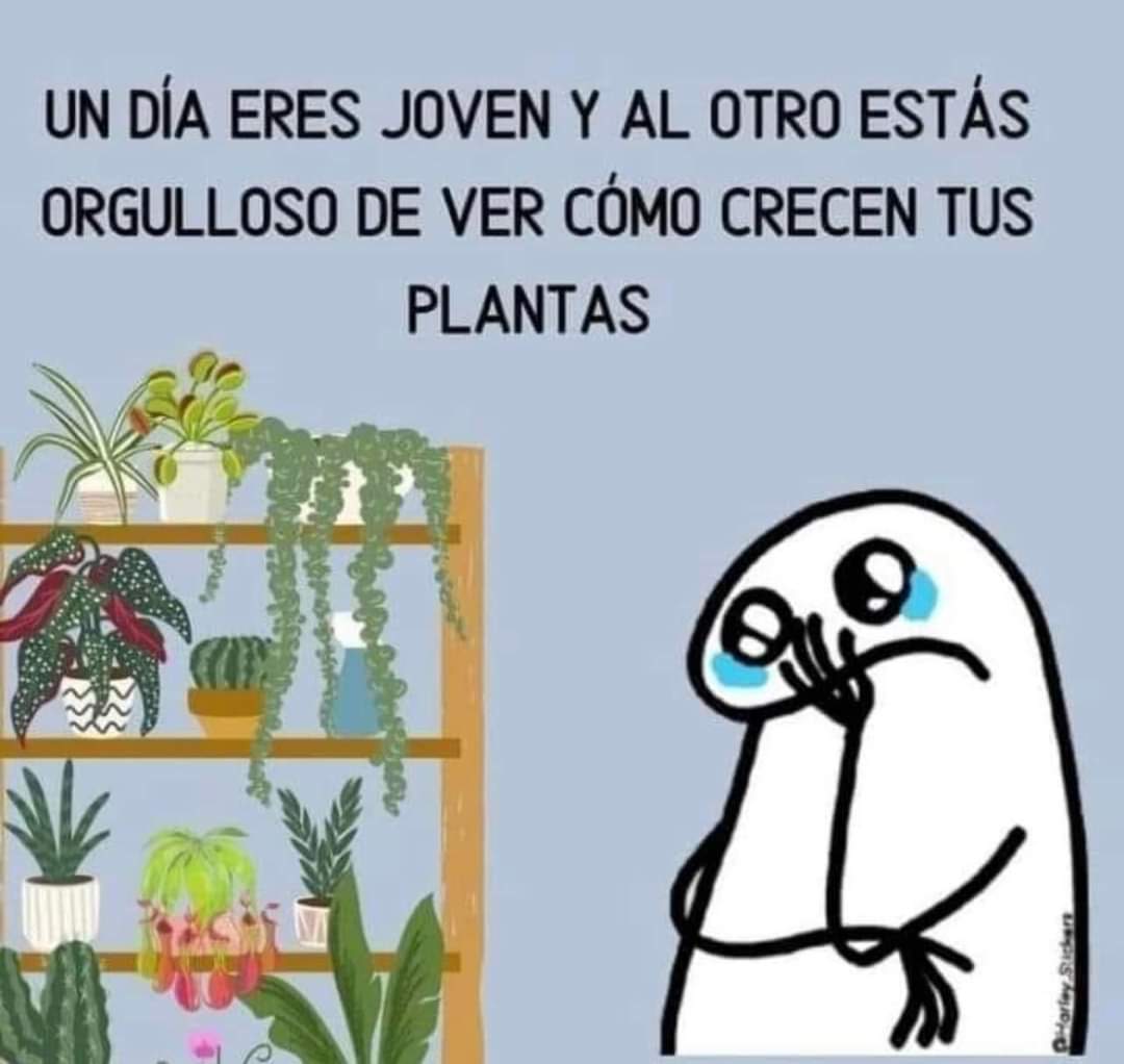 Sí, somos 🤣🤣