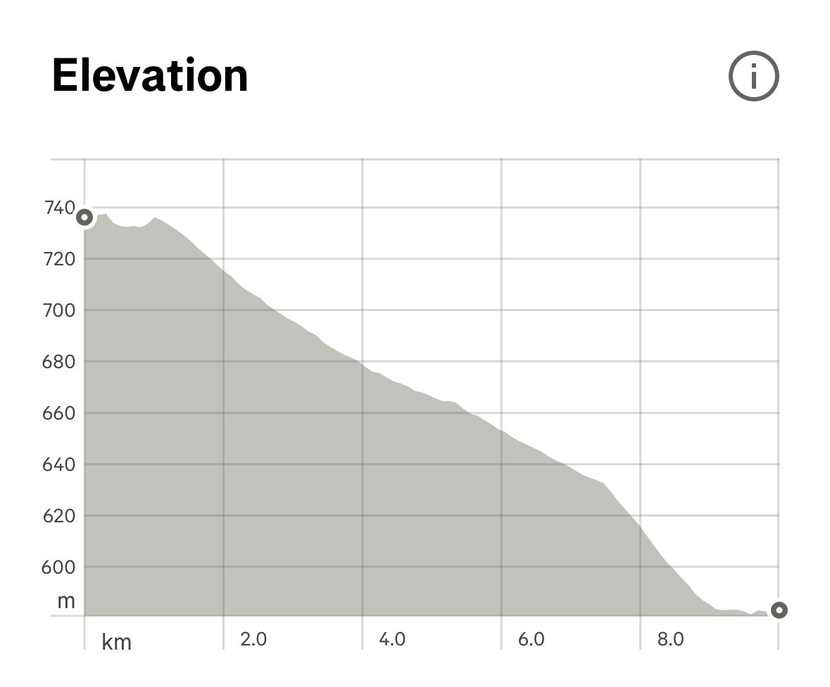 🎢