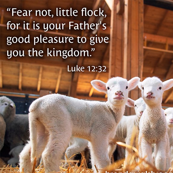 TheCarceri's tweet image. DO NOT BE AFRAID:
Psalm 100:3 says, "Know that the Lord, he is God! It is he who made us, and we are his; we are his people, and the sheep of his pasture".