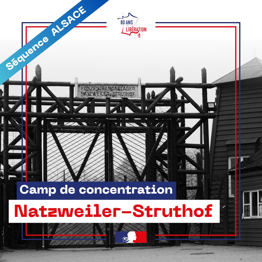 Mission80ans's tweet photo. [THREAD] 🕊️ Le camp de Natzweiler-Struthof : un lieu de souffrance et de mémoire

Seul camp de concentration situé sur le sol français, le camp de Natzweiler-Struthof, en Alsace annexée, est ouvert en mai 1941. 

1/4

#Mémoire #Struthof #CampDeConcentration #Natzweiler #Histoire https://t.co/BT6ea6TCKm