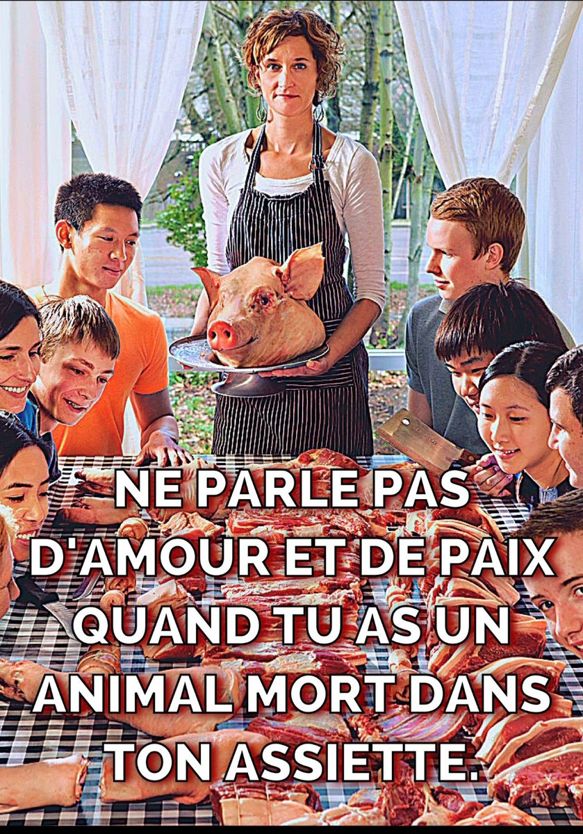 VeganHumour's tweet photo. #Vegan #sentience #Noel https://t.co/eOtgHMUbg2