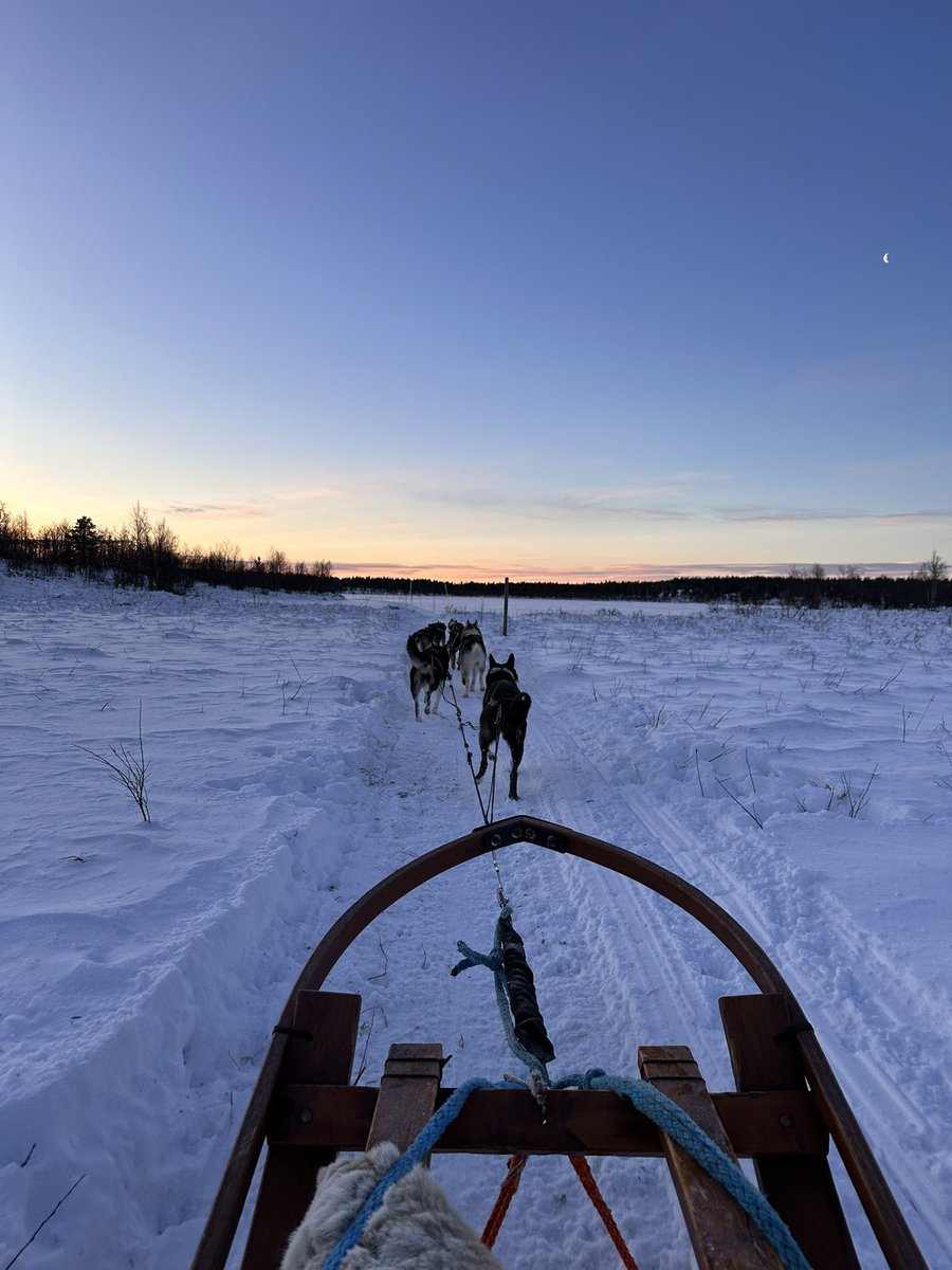 Viscountess Gina G™® tweet media