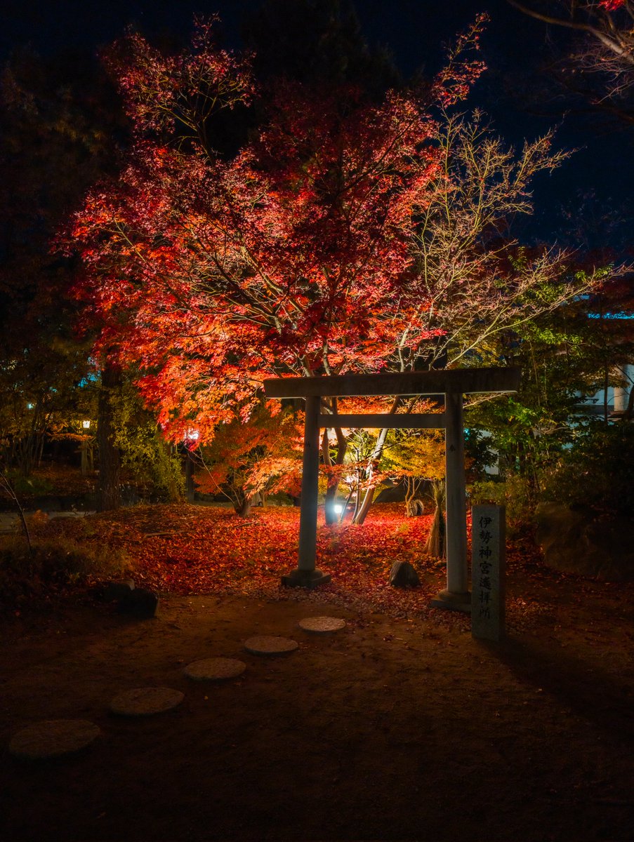 ksg_world's tweet photo. スマホで街ブラもええやん
#東京カメラ部
#tokyocameraclub
#GooglePixel https://t.co/LYXXL5lRFe
