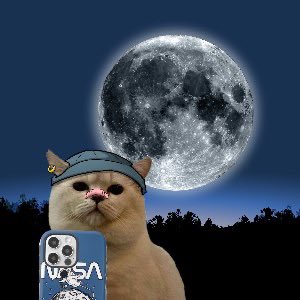Some changes going to happen.

Big week ahead of the one and only #SelfieCat creator of $Selfie Meta

Stay tuned for announcements.