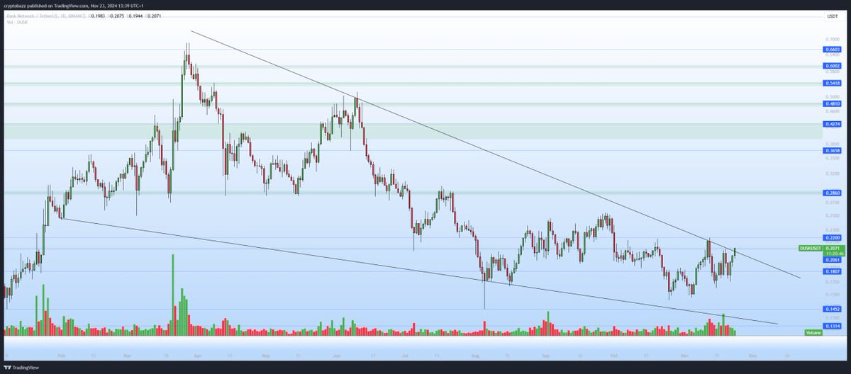 Patrick de Laive tweet media