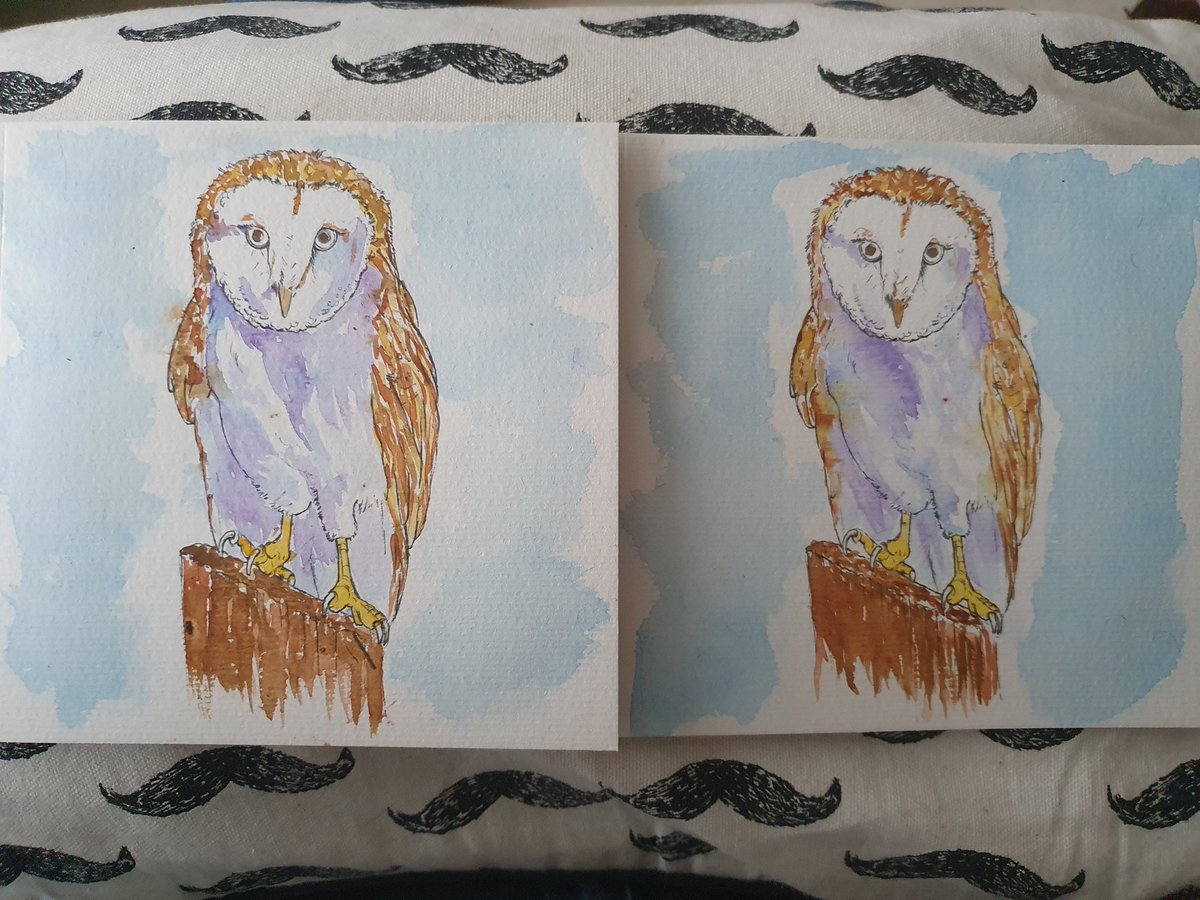 A couple of paint-your-own watercolour cards from <a href="/AldiUK/">Aldi Stores UK</a> bought a few years back. Did these yesterday. My wide brush loses bristles every stroke do so I waited until paint was dry before rubbing them off. #watercolour