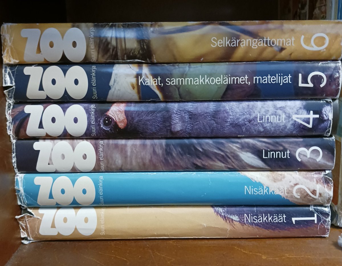 Aikana, jolloin ei ollut internettiä ja Googlea.