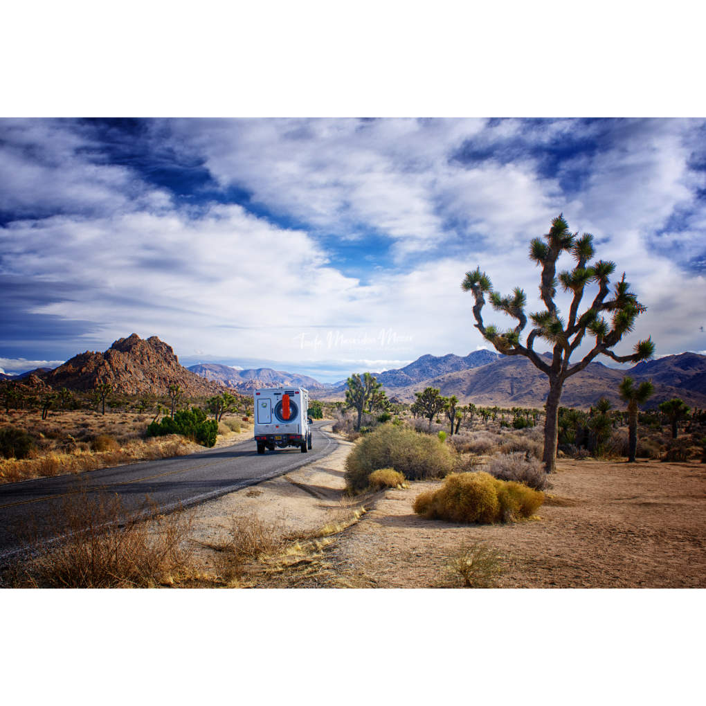A_ZofWonderment's tweet photo. Happy Sunday everyone! 

QP a photo of somewhere you would rather be today! 

#photography #NaturePhotography #landscapes #joshuatree #nationalparks https://t.co/roeSzT9adC