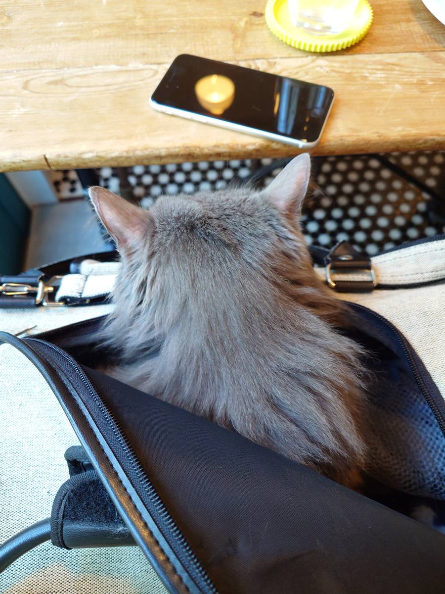 Gallery éf Asakusa on X