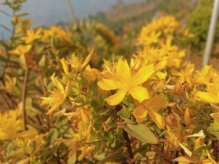 Beauty of Nature 💚💚💚
Nature Photography 🤞