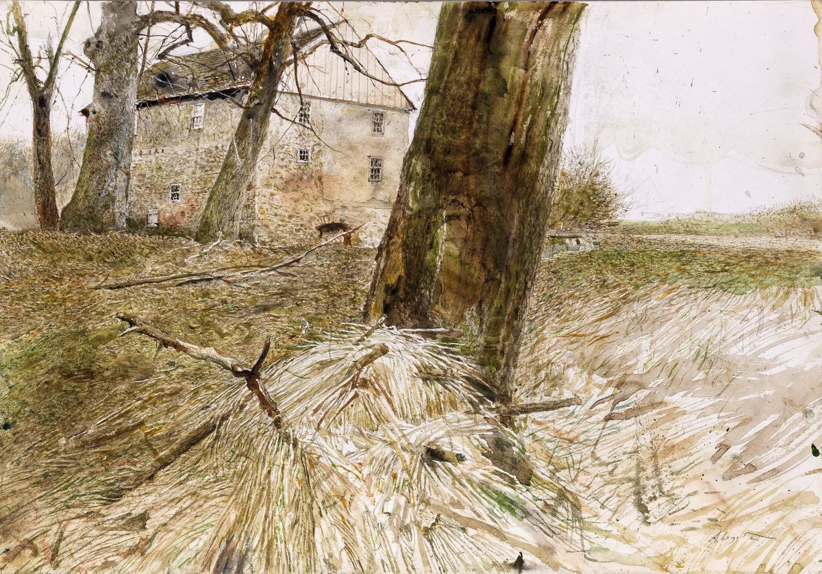 <a href="/pietvervaecke/">Piet Vervaecke</a> Van oceaandiepzeeblauw (en geheim) keer ik terug bovengronds; en vandaag even veelzeggend. 'Noah's Ark Study 2004' - Andrew Wyeth