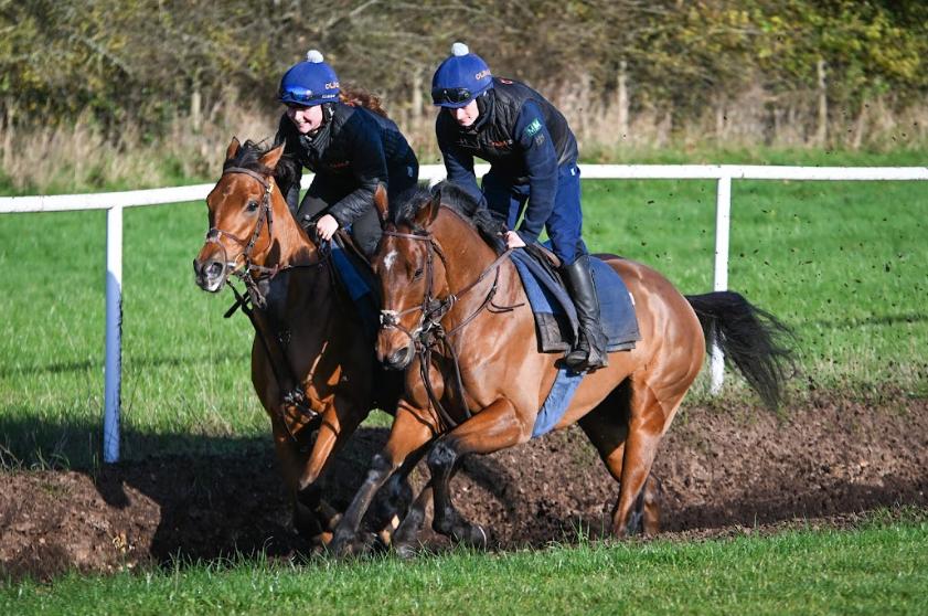 Date for the diary...this coming Saturday night Nov 30th is race night at the Silver Hind pub in Sway. 
Races start around half 8 so get down and support the football club and enjoy the food and beer on offer. 
The new management and players look forward to meeting you all. 👍