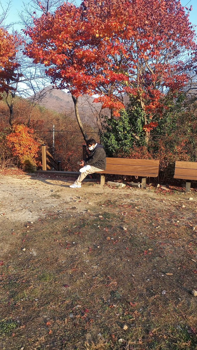 ChickenKil73152's tweet photo. 대둔산   흑멧돼지 ㅋ https://t.co/xqvmUNqtnG