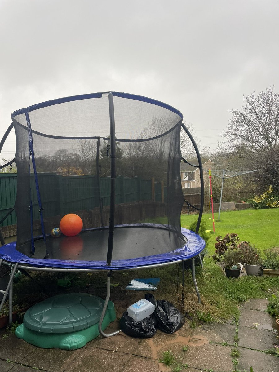 Survived another storm! Pretty sure in the event of nuclear war all that will be left will be cockroaches and my trampoline 💪 #StormBert