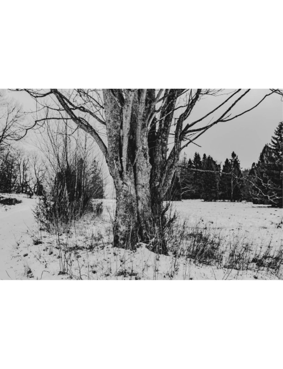 Caryńskie Valley
photo e-book and paperback
foto e-książka i książka
amazon: a.co/d/94HOQS4
everand: everand.com/.../Carynskie-…...
payhip: payhip.com/b/37dtG