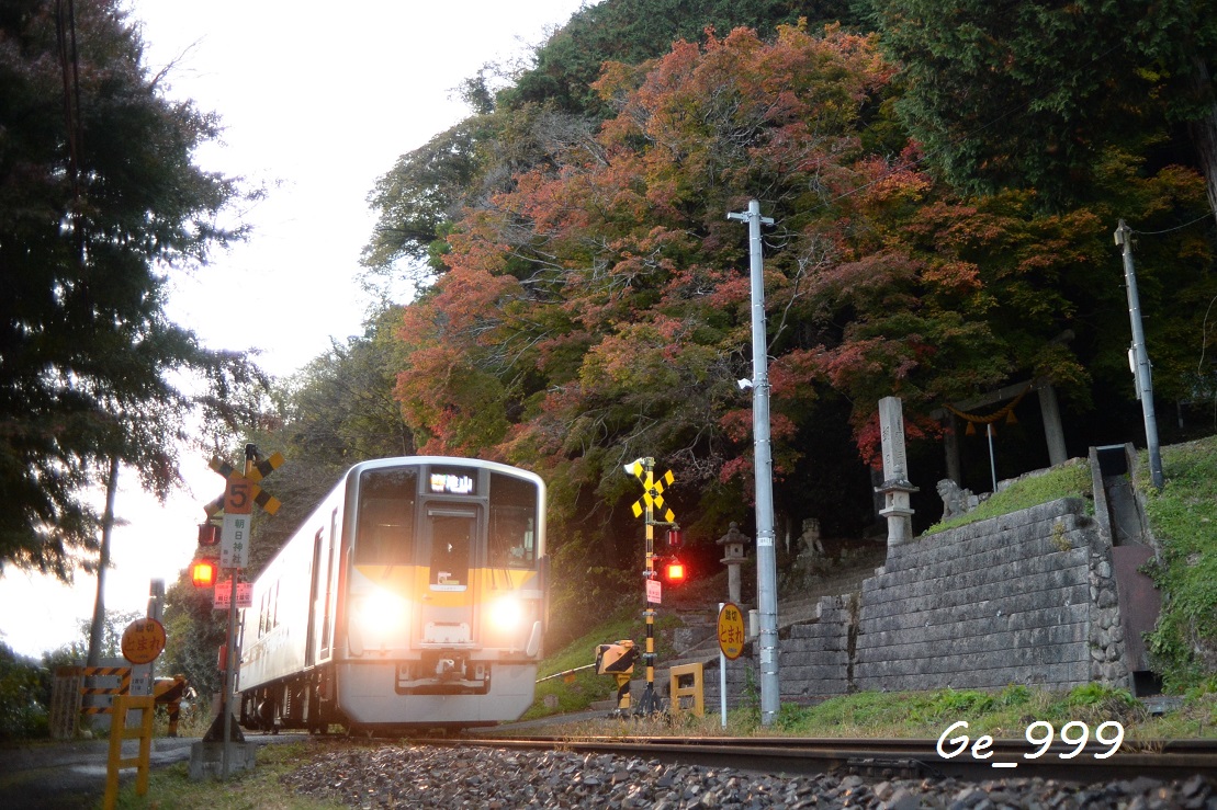 Ge99911's tweet photo. DEC700 快速ハレのモリ　ラストラン
紅葉の中をかけ向けていきました。
#DEC700
#快速ハレのモリ https://t.co/XNf4misUIh