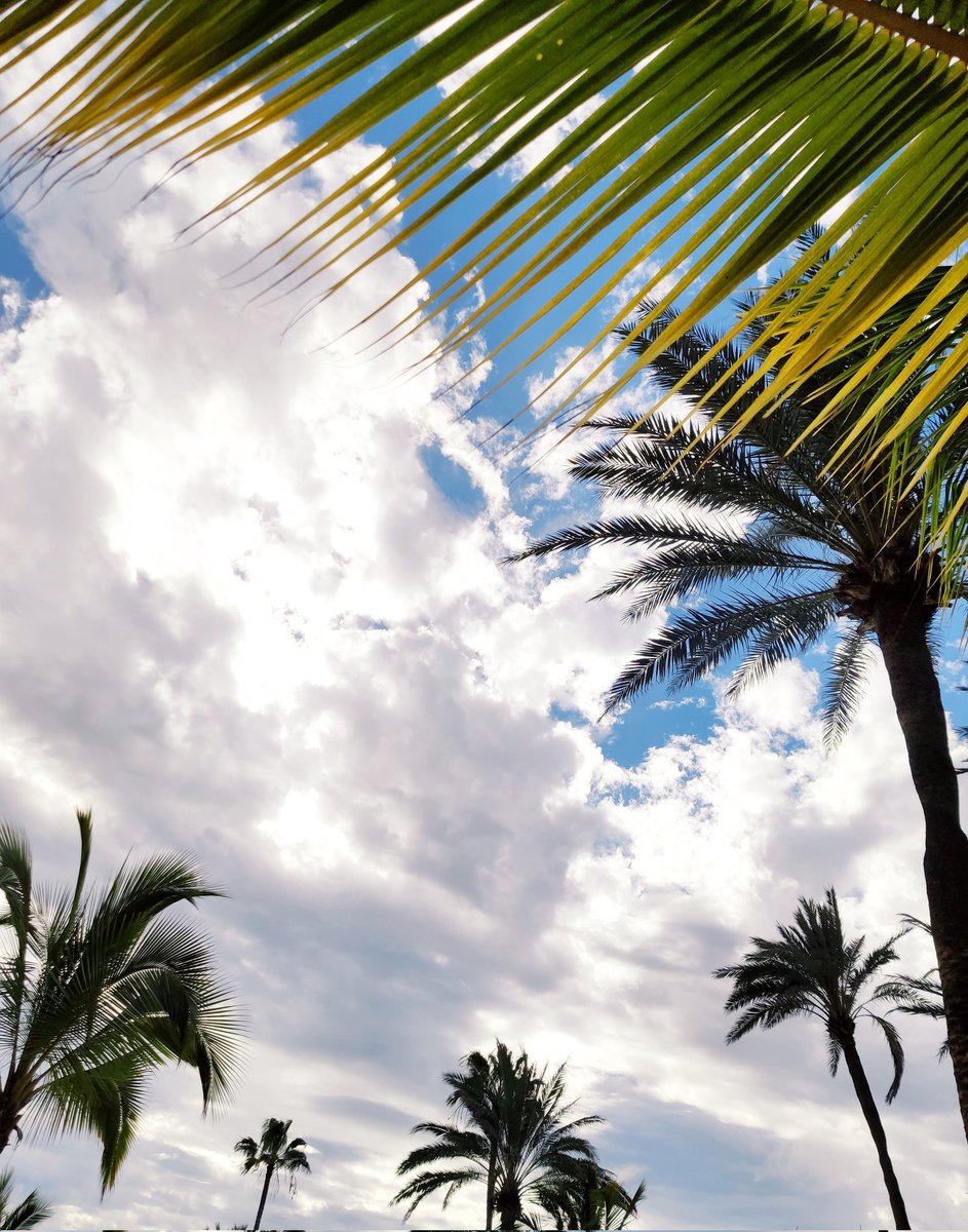 M_Vinas (@m_vineyards) on Twitter photo Let's look at the bright side of things! Even Darth Vader abandoned the dark side at the end... Follow me on <a href="/bluesky/">bluesky</a> bsky.app/profile/m-vine… Let's look at the bright side of things! Even Darth Vader abandoned the dark side at the end... Follow me on <a href="/bluesky/">bluesky</a> bsky.app/profile/m-vine…