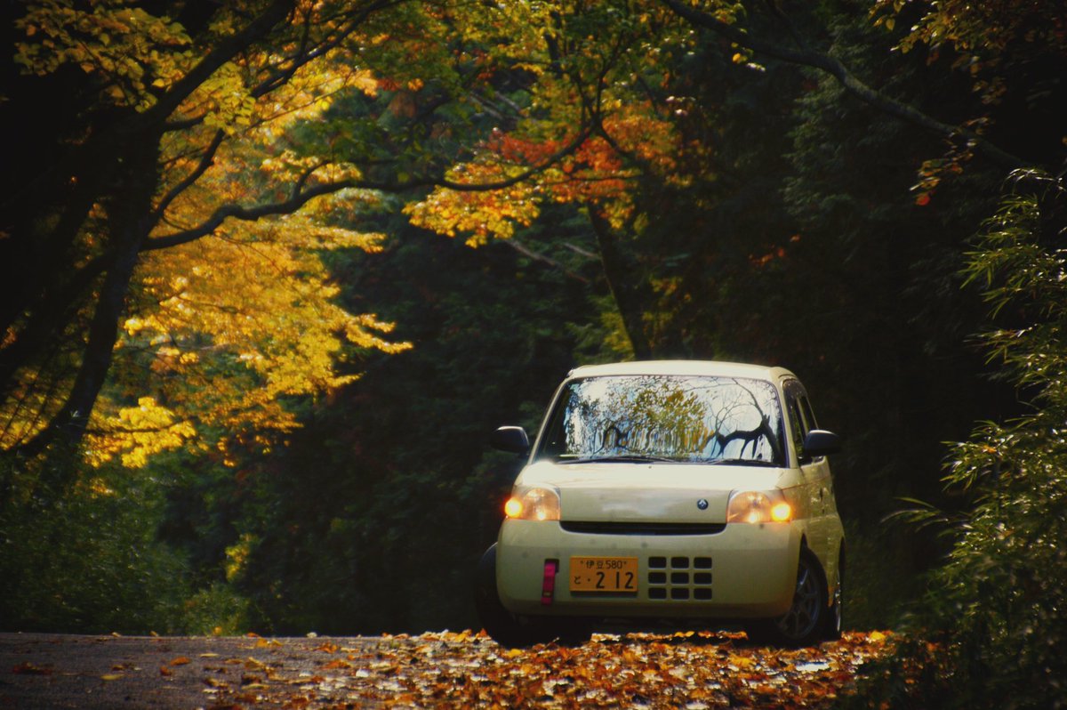 Avan206's tweet image. 24.Nov,2024
2002 Nikon D100 CCD 6.0MP
Tamron 18-270mm 1:3.5-6.3 pzd

#nikon #nikond100 #ccdsensor #tamron #daihatsu #esse #olddigitalcamera