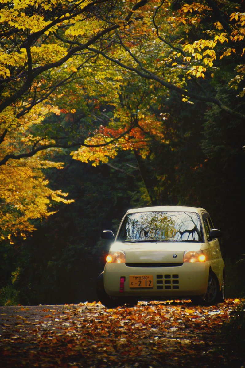 Avan206's tweet image. 24.Nov,2024
2002 Nikon D100 CCD 6.0MP
Tamron 18-270mm 1:3.5-6.3 pzd

#nikon #nikond100 #ccdsensor #tamron #daihatsu #esse #olddigitalcamera