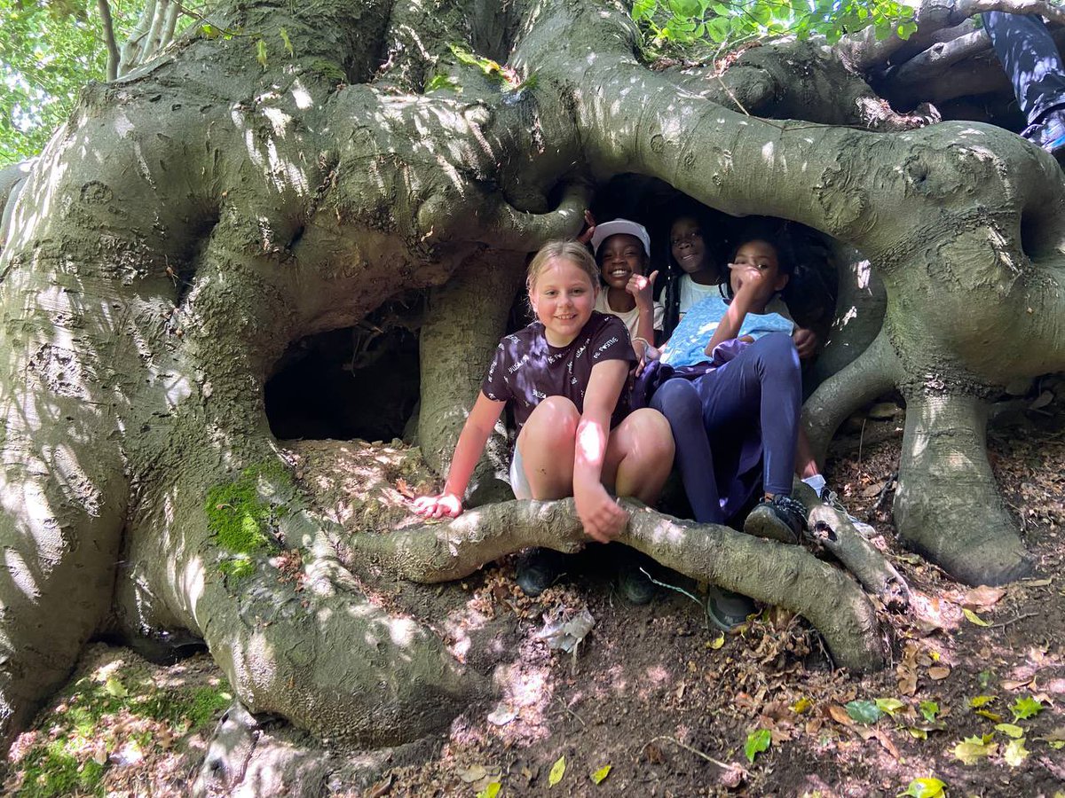 grdnclassroom's tweet photo. Touching, smelling and actually being hugged by a tree is a great sensory experience @TheTreeCouncil #NationalTreeWeek https://t.co/eLIHtRGZG7