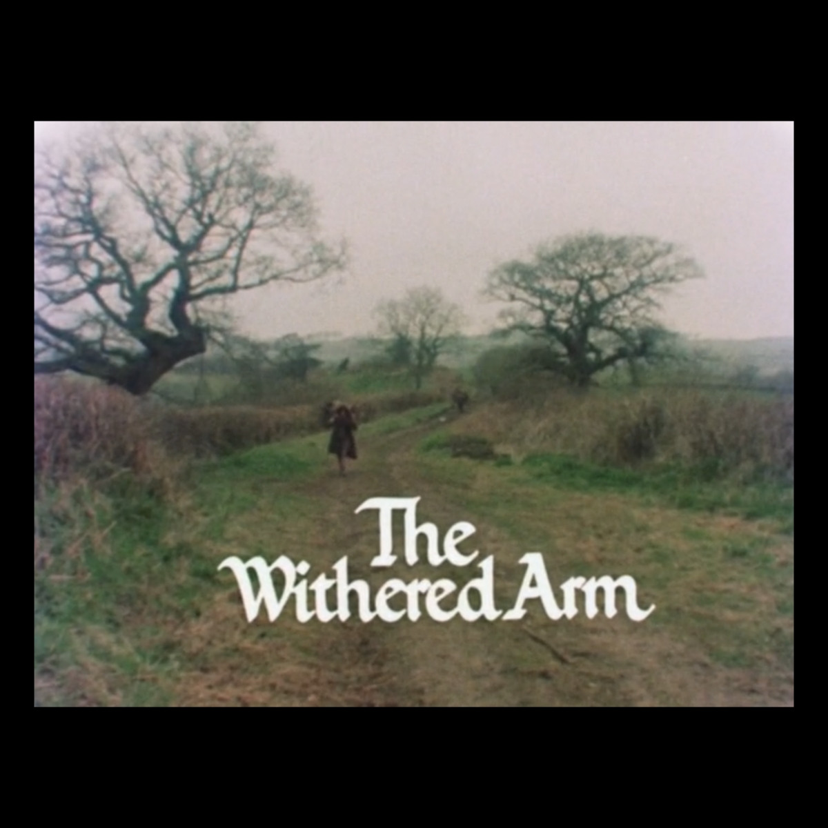 C𝚊𝚛𝚘𝚕𝚒𝚗𝚎 𝙲𝚑𝚊𝚖𝚙𝚒𝚘𝚗 tweet media