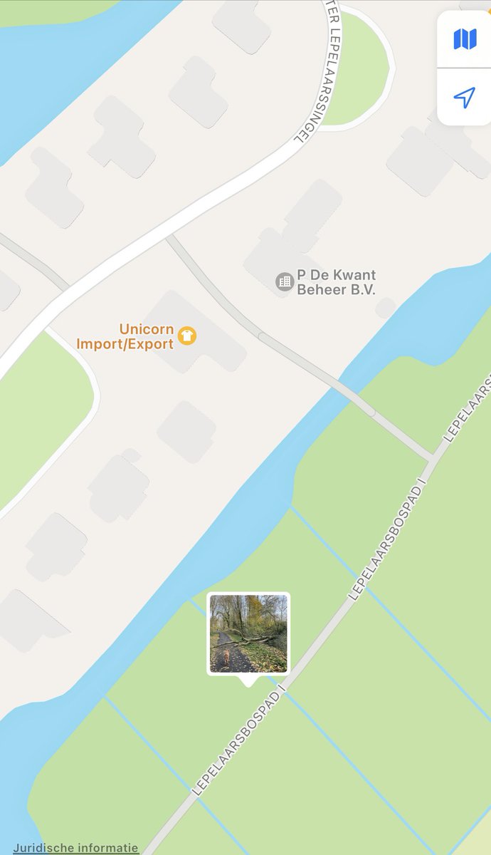 Oei, je zal hem maar aan horen komen. Boom om geknakt in <a href="/gemkadij/">Krimpen a/d IJssel</a> #lepelaarspad