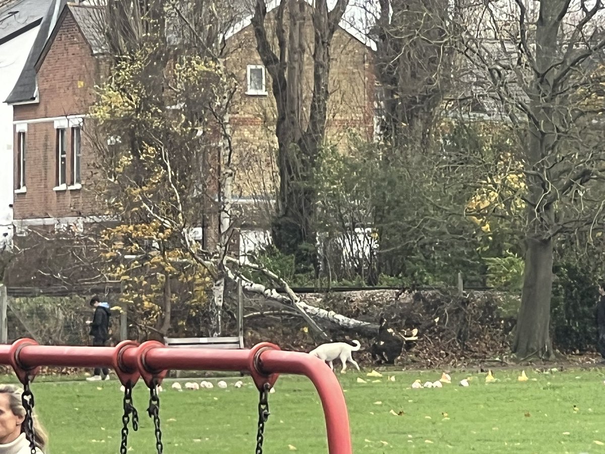 Matt Wilkinson tweet media