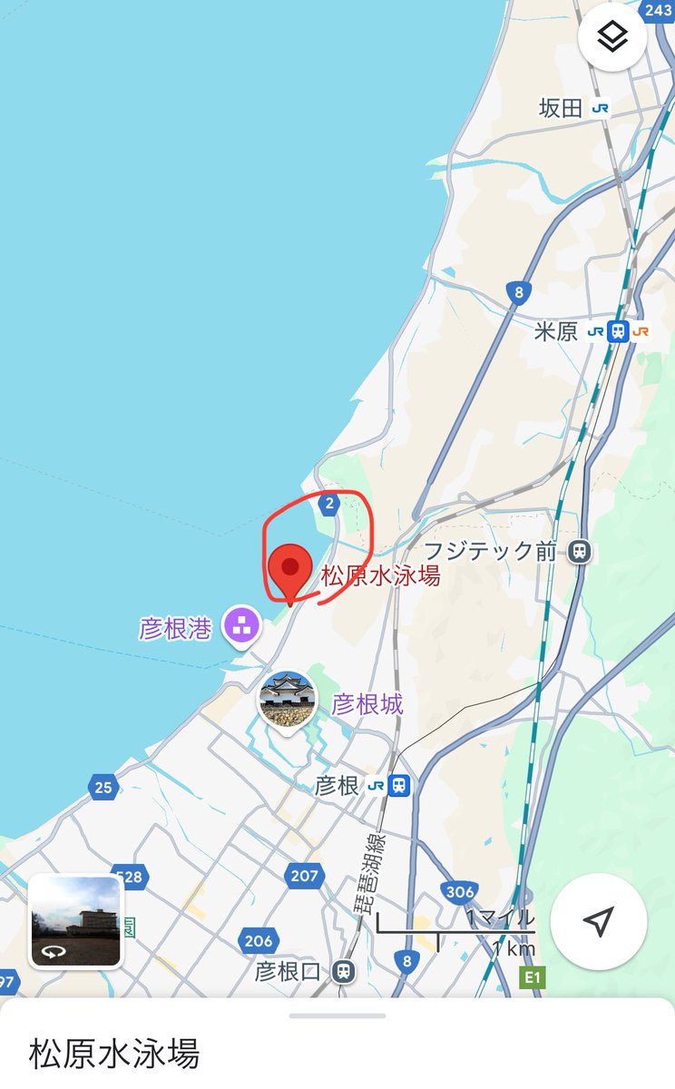 鳥人間的に今日一番面白かったのは 大木さんの本籍地が 「滋賀県彦根市