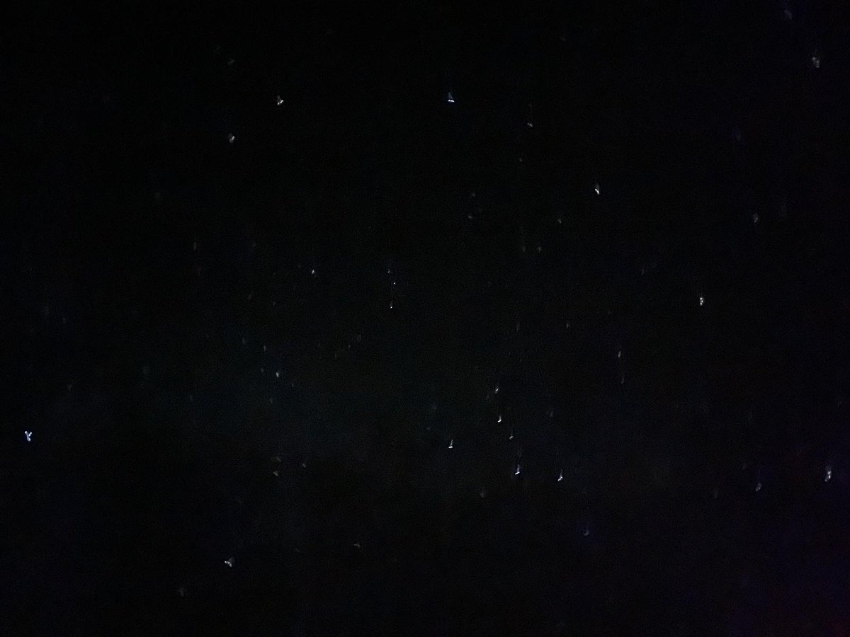 MadhviChittoor's tweet photo. In New Mexico, far away in rural areas, I saw the white band of the Milky Way! It was breathtaking!   So, many stars and Venus shining bright ! There was no city light pollution and it appeared that many stars were competing with Venus fior brightness! ♉✨⭐  We must fight against the #lightpollution!   I took some photos with Night setting with my iPhone. Please zoom in and see the pictures! By no means do these photos do justice to what my eyes could see! But I'm still happy I got some great pictures. What do you all think?! Kindly post comments. 

 #stoplightpollution #switchoffofficelightsatnight #astronomy #stars #planets #Jupiter #Venus #mars #milkyway #physics #science @madhvi4ee @EcoethicsBD  @EcoethicsZim   @EcoEthicsKenya   #ecoethicschampion #galaxies #constellations #nebulae
