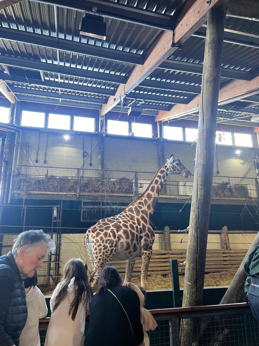 NameKenna1393's tweet photo. I visited Marwell, the most expensive zoo in Southampton, with my parents. 🥰🥰 https://t.co/Y3fOeWTilr